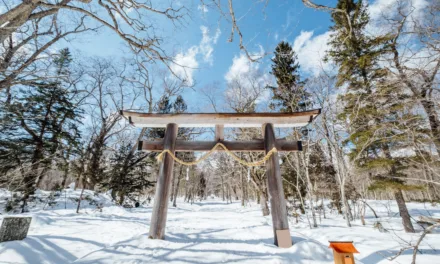 Rekomendasi Heattech dari Uniqlo untuk Perjalananmu