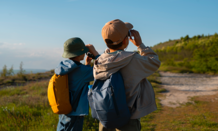 Tips Membawa Air Mineral Kemasan Kecil 250 ml untuk Piknik Anak – AQUVIVA